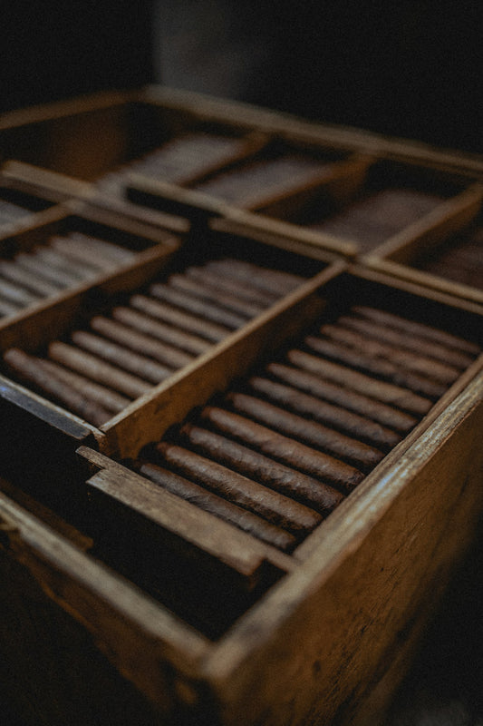 Caring for Your Cigars - Tips for Conservation and Maintenance